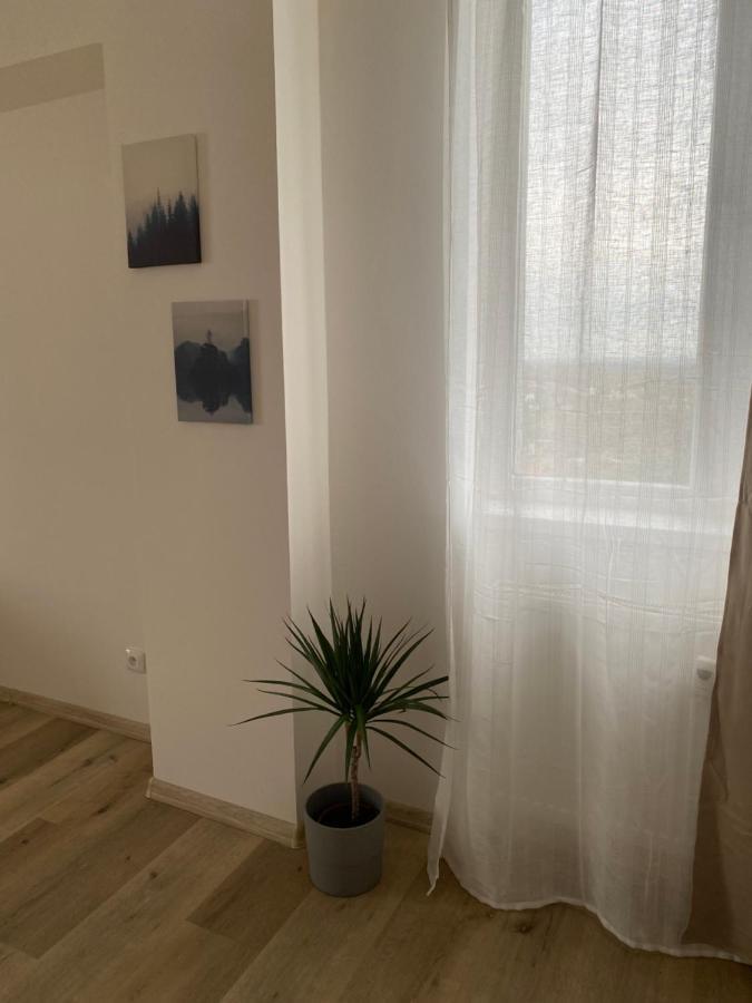 Apartmany Kladno - Libusin ภายนอก รูปภาพ